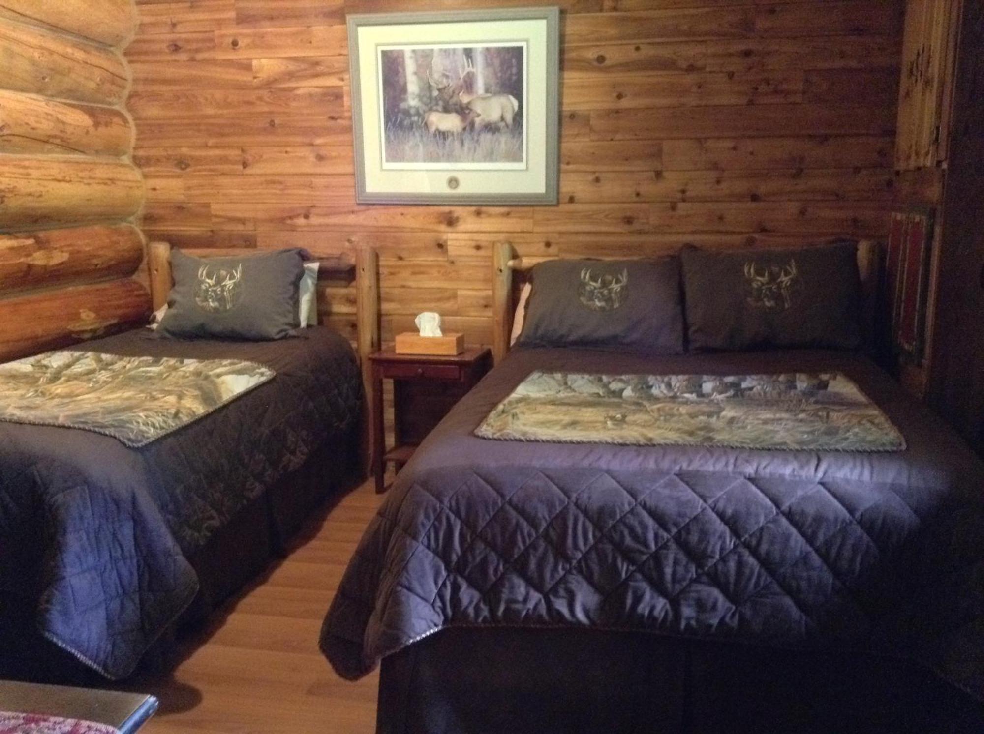 Summit River Lodge & Campsites Valemount Quarto foto